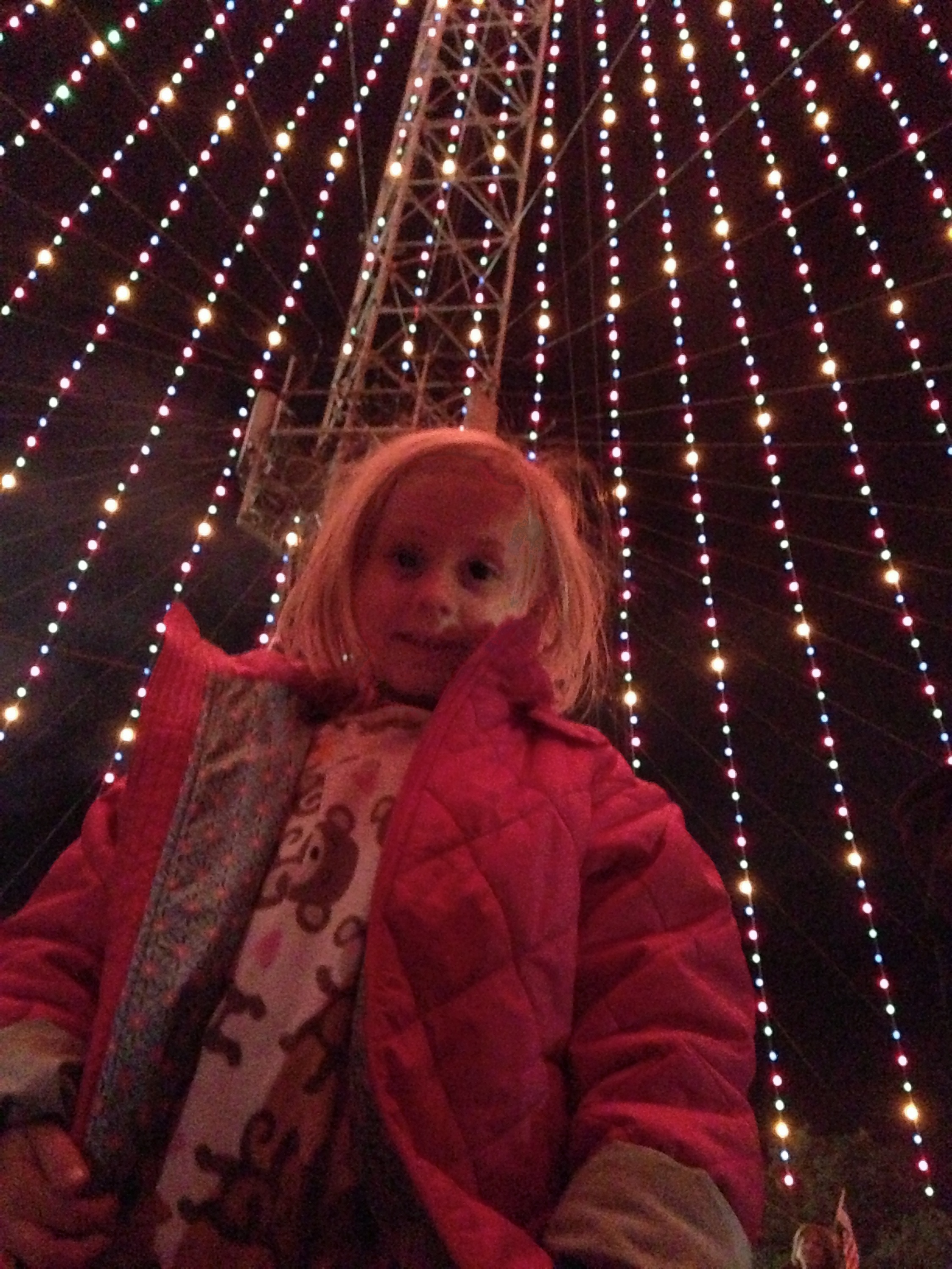 2012-12-21 04 Trail of Lights.jpg